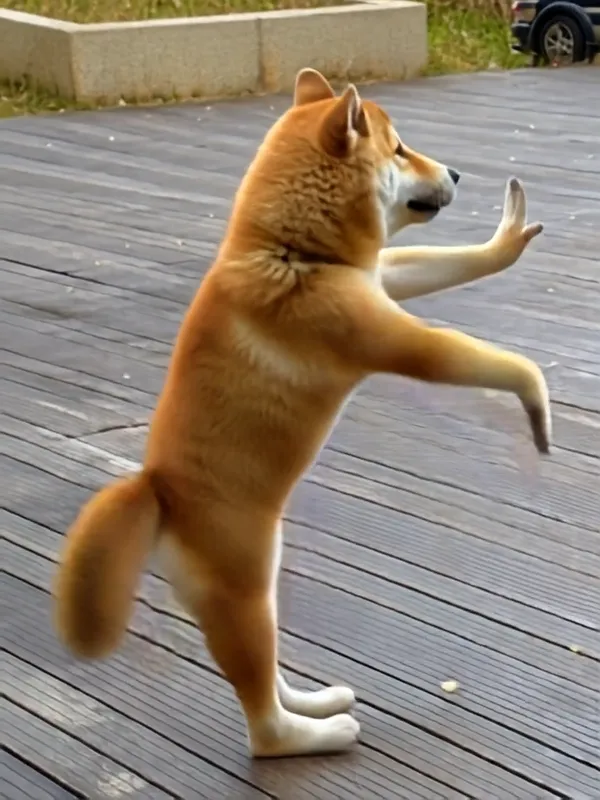 Popular dances across the Internet | Please pay attention to the reverse dance challenge