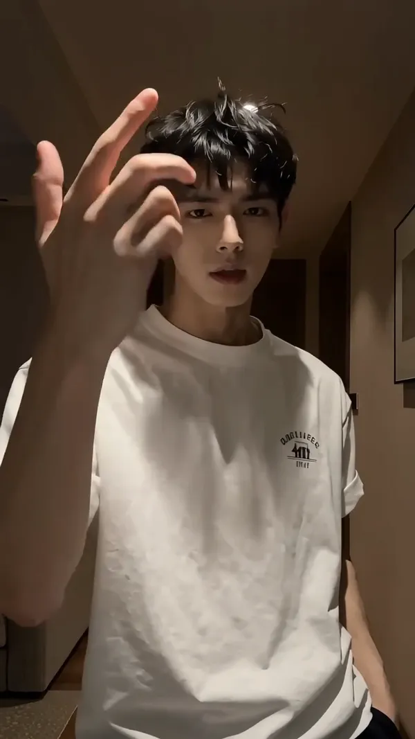 🔥The fan-core hand gesture dance that is popular all over the Internet|Replace the picture to make the same style